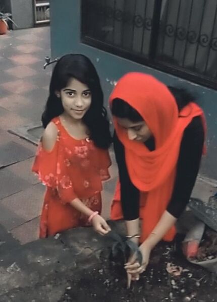 പ്രമാണം:44050 eco 87.jpeg