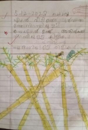 47402-KKD-KUNJ-HANEENA FATHIMA.jpg