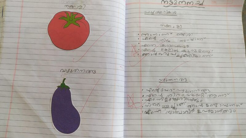 പ്രമാണം:48519-MLM-KUNJ-ABIN SHAHAD.jpg