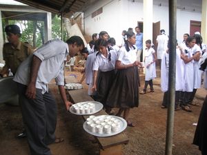 IMt67G 4029.resized.JPG