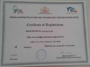 Little kites certificate.jpg