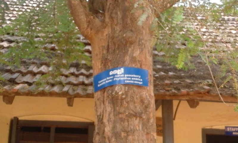 പ്രമാണം:Naming 14.jpg