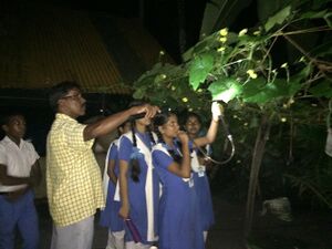 Ncsc 15 35052a (2).jpg