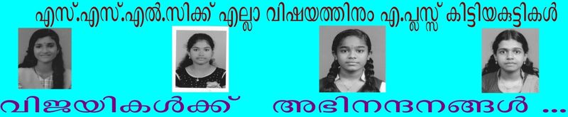 പ്രമാണം:Sslc Result 201711.jpeg