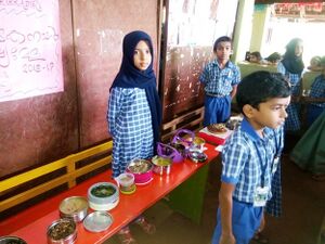 `SEED`KARKKIDAKA NADAN BAKSHYA MELA (7).jpg