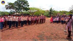 11051 environment day activities20171.jpg