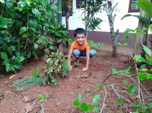 13353 paristhithi dinam-WA0007.jpg