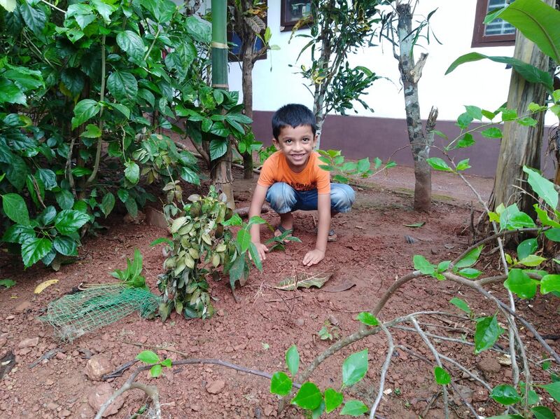 പ്രമാണം:13353 paristhithi dinam-WA0007.jpg