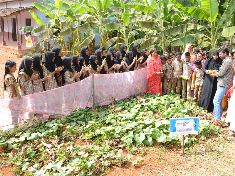 പ്രമാണം:16258 k.png