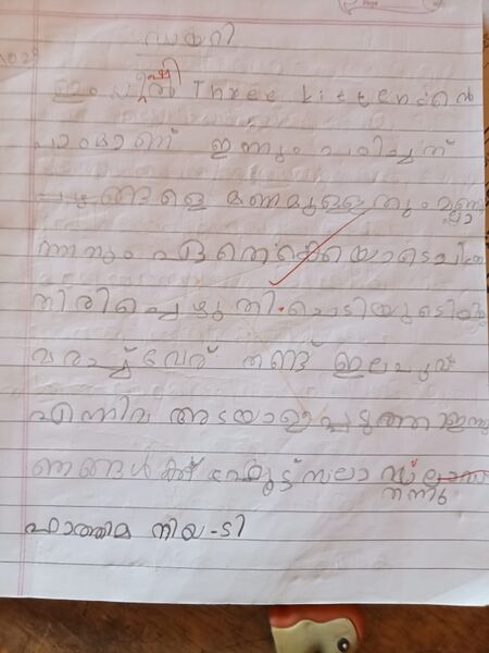 പ്രമാണം:18624-MLP-KUNJ-FATHIMA NIYA .jpg