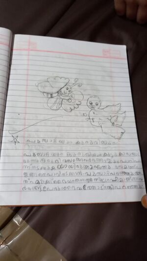 19707-MLP-KUNJ-Hiba Fathima.jpeg