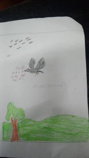 19733-MLP-KUNJMUHAMMED ADEEN7.jpeg