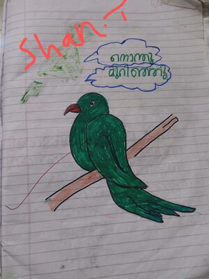 19864 mlp shan t.jpg