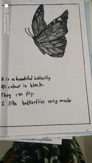 23302-TSR-KUNJ-ARADYA K.jpg