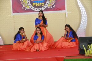 24071-ANNUAL DAY 14.resized.JPG