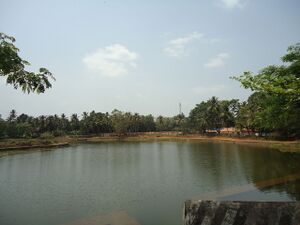 25053 manickamangalam chira.JPG