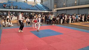 29040-Sports Takewondo-3.jpg