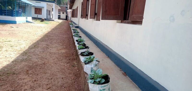 പ്രമാണം:3600ecco club.jpg