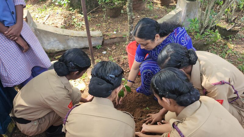 പ്രമാണം:36012 Enviornmental day.jpeg