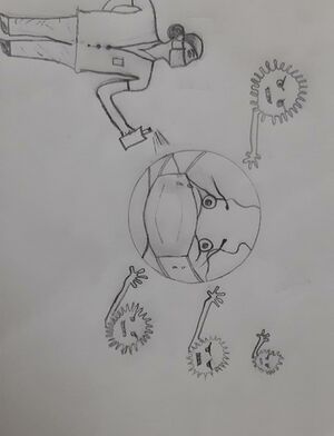 41451 Picture 11.jpeg