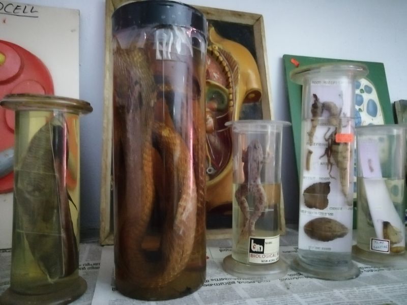 പ്രമാണം:42021 0001243.jpg