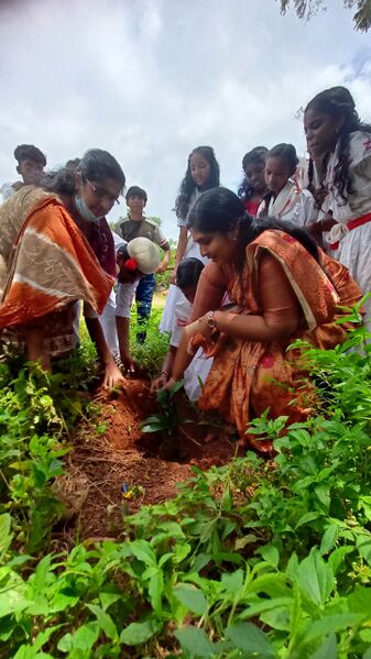 പ്രമാണം:42050 jrc aug.jpg