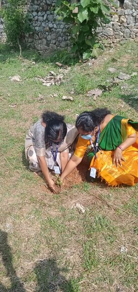 പ്രമാണം:43022 hm.jpg