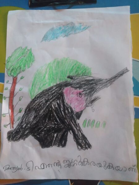 പ്രമാണം:48134-MLP-KUNJ-ARYAN T.jpg