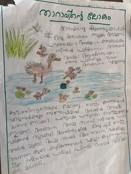 പ്രമാണം:48244-MLP-KUNJ-FATHIMA NAFILA CT.jpg