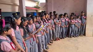 BS TVM 44066 elec.jpeg