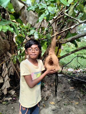 Enviornment Club Activity.jpg