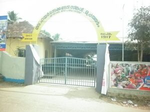 Govt H S Muppathadam (1).JPG