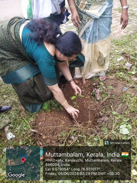 പ്രമാണം:PLANTING TREEE.jpg