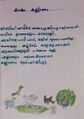 kunjezhuth of class 1 students: mini story of kakka kalyanam by Parvathy 1b