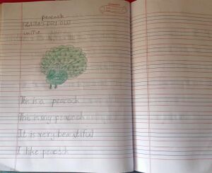 15509-WYD-KUNJ-ISBA NOURIN 1 C.jpeg