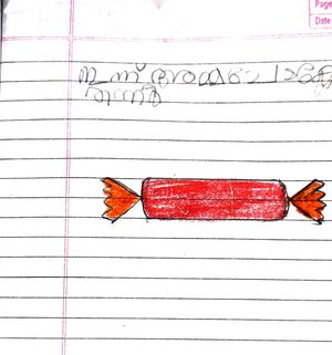 21228 pkd kunj anaj.jpeg