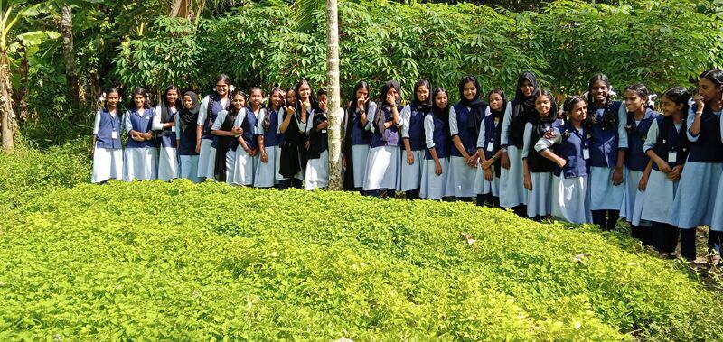 പ്രമാണം:24065 ECO.jpg