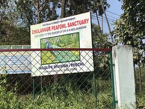 24611 thiruvilwamala-peafowl-sanctuary.jpg