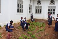 ഡ്രൈ ഡേ ആചരണം