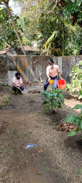 പ്രമാണം:25071 nss12.jpg