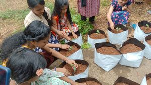 31064 eco club activity 1.jpeg