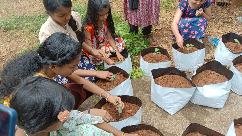 പ്രമാണം:31064 eco club activity 1.jpeg