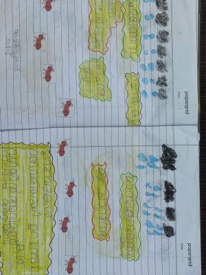 38608-PTA-KUNJ-AMAL PRASAD.jpeg