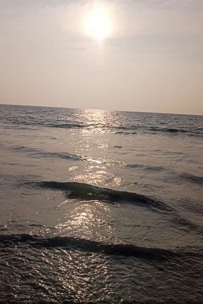 പ്രമാണം:Beauty of evening.jpg