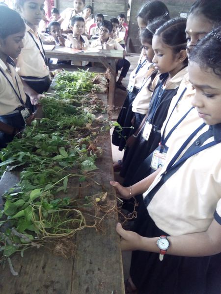 പ്രമാണം:Clb 5.jpg