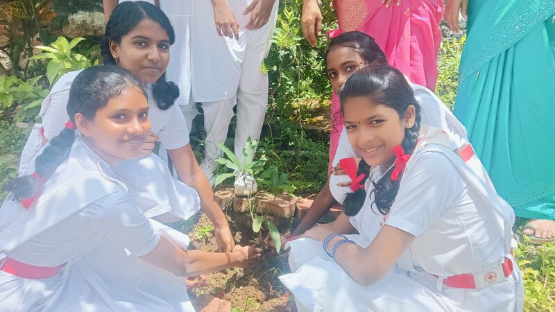 പ്രമാണം:SCHOOL MUTTATHORU THENMAVU 2025.jpg