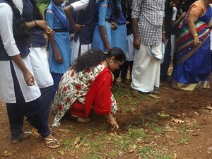 12060 vithirakkal 10.JPG