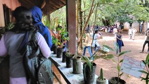 12070-Oushadha chedikal 1.jpg