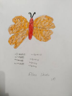 14856-KNR-KUNJ-ALNA SHINTO.jpg