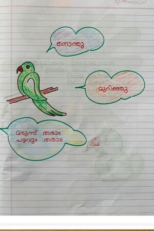 15305-WYD-KUNJ-MUHAMMED ASLAM.jpg